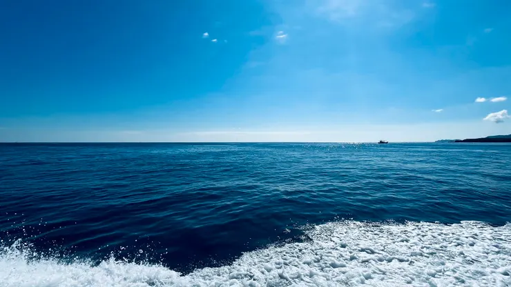 七月的最後一天,請了特休來野柳潛水