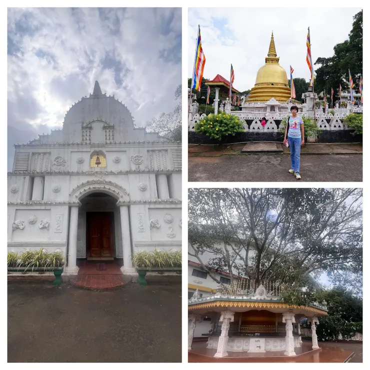 金佛後陸續看見佛塔和樹