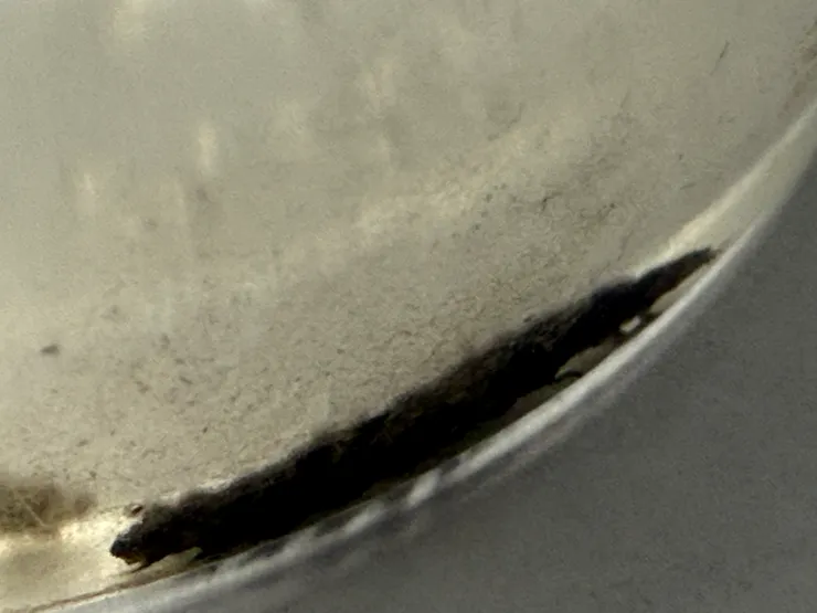 2026/04/25 水裡的小螢火蟲