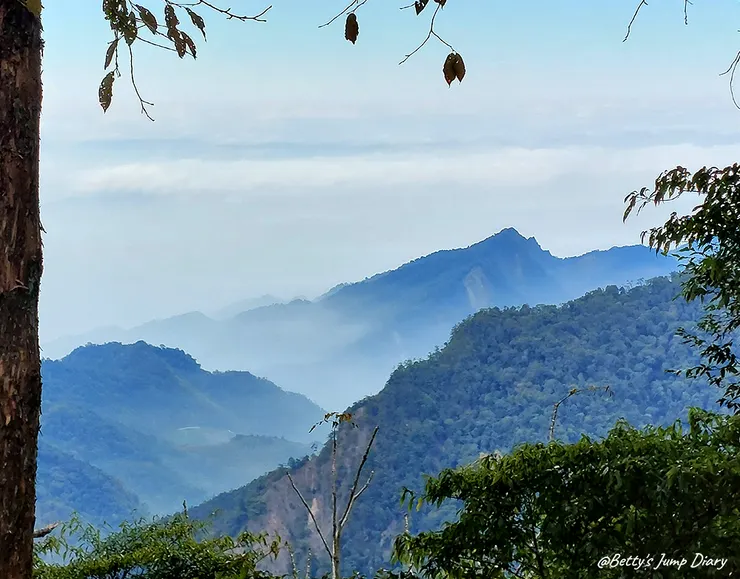 ▲台中「大雪山國家森林遊樂區」/圖片來源：Betty's Jump Diary