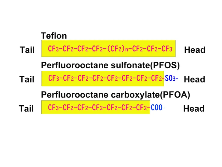 圖三 Teflon, PFOS及 PFOA構造上的類似