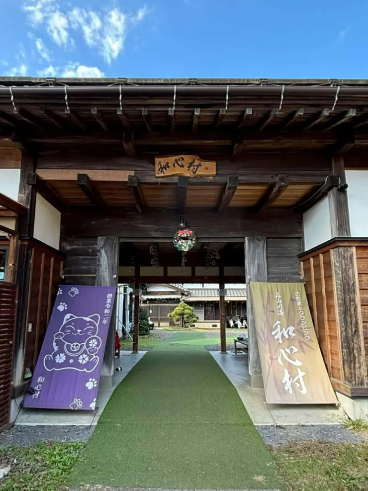 ▲日本千葉和心村 掀起療癒生態系的森林旅遊風潮