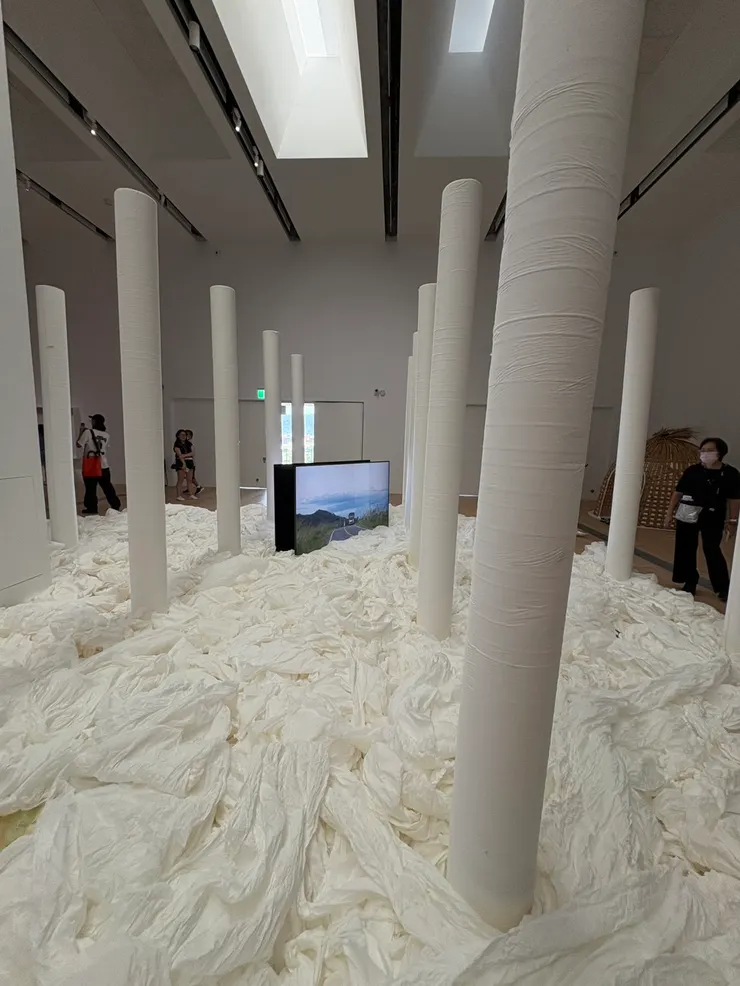 〈白森林〉滿滿的衛生紙！