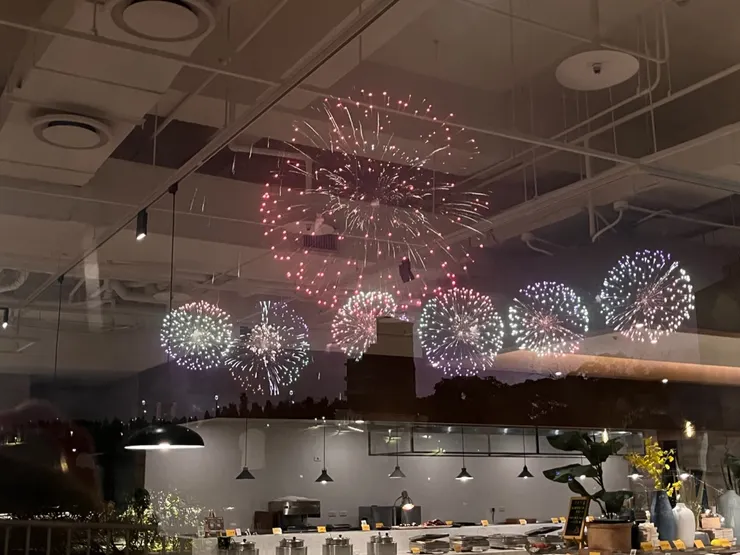 懶得走出去直接在餐廳裡拍的，中間有棟建築物擋住是個敗筆。