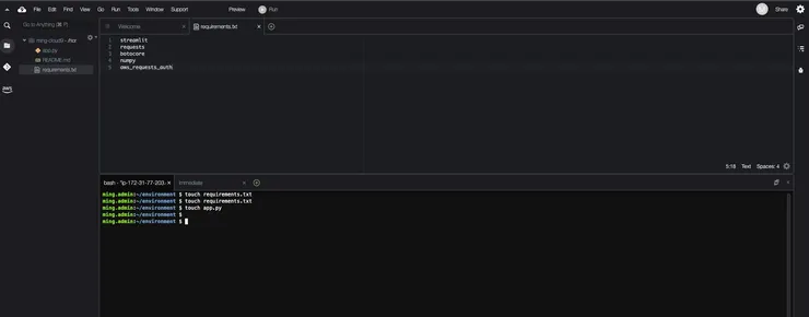 AWS Cloud9 介面