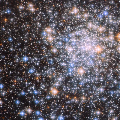 星塵旅人/隕星/教育