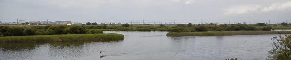 吳寓林所🤝平安和美