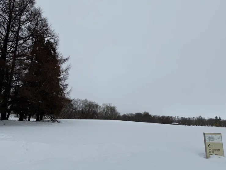 如圖。積雪嚴重到連踏進去也不敢，怕被活埋。