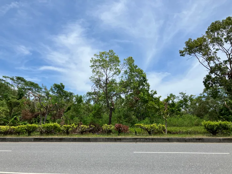 復原中的花蓮。作者拍攝