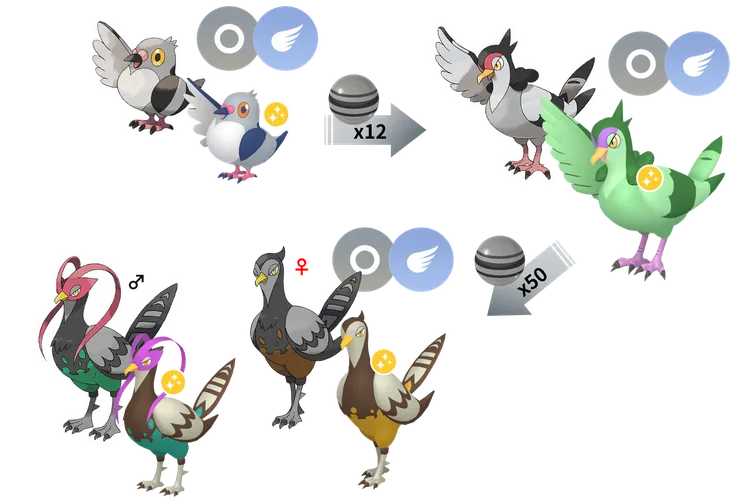 高傲雉雞進化鏈