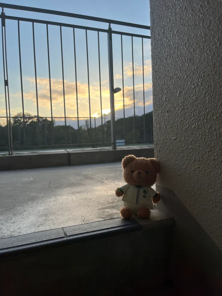 拍照好朋友越山熊