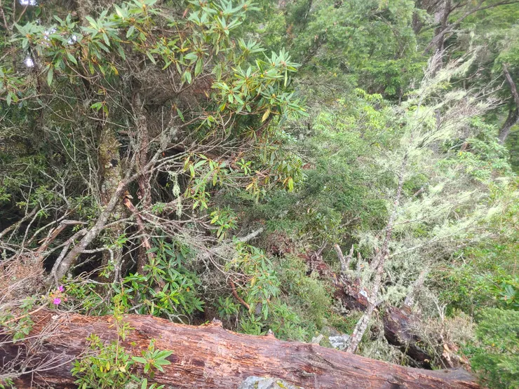 破路又下雨考驗身體協調，這應該是7月以來好多颱風造成的包括凱米颱風