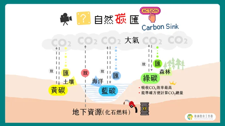 自然碳匯（來源：斯創教育工作群）