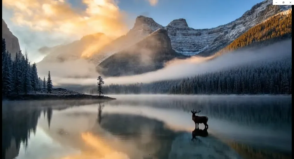 日月非黑的沙龍