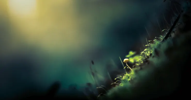 Photo by Marek Piwnicki on Unsplash