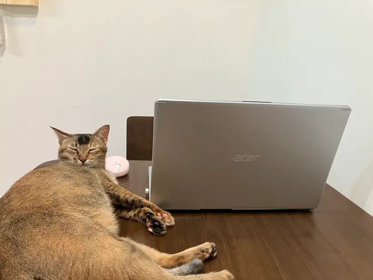 拍成這樣！不講武德的奴才！