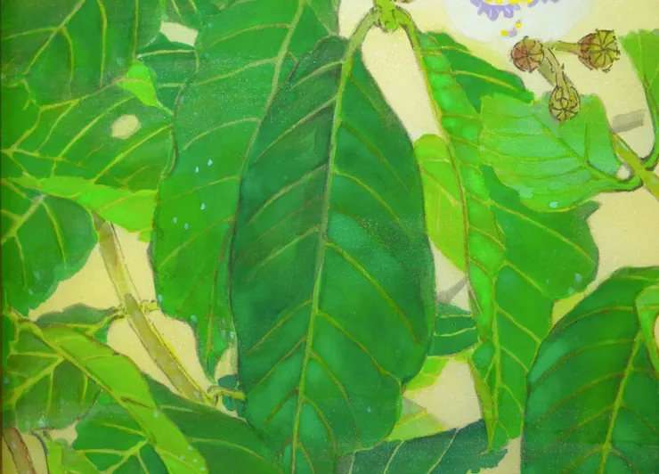 〈初夏晨興〉局部－大花紫薇