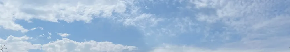 彼得大叔的沙龍