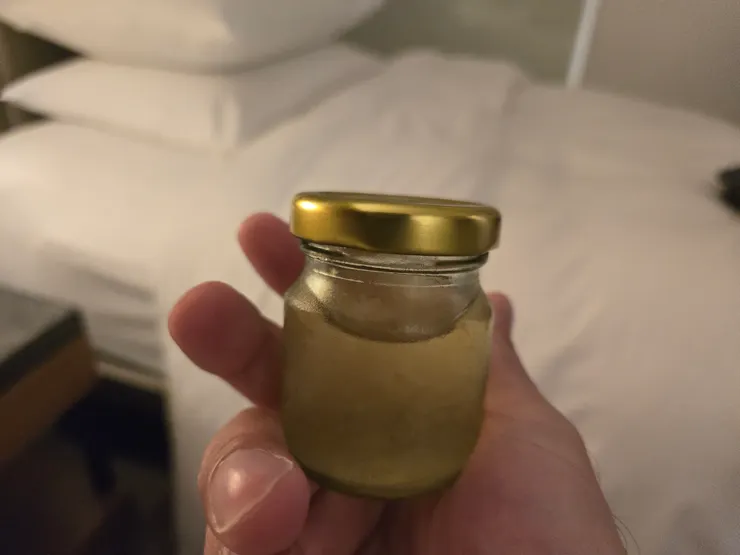 導遊給的小燕窩