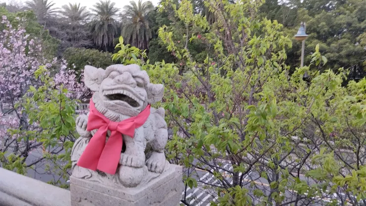 三月中一樹嫩綠