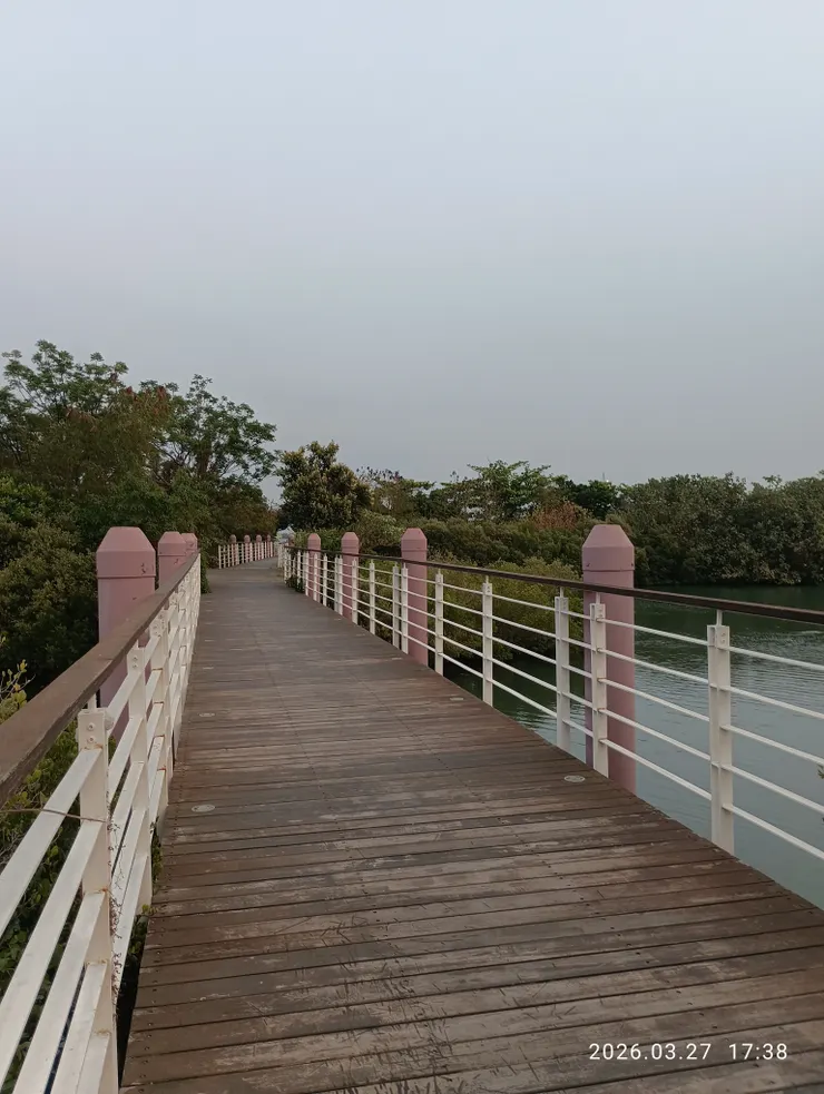 春衫游人倚斜橋