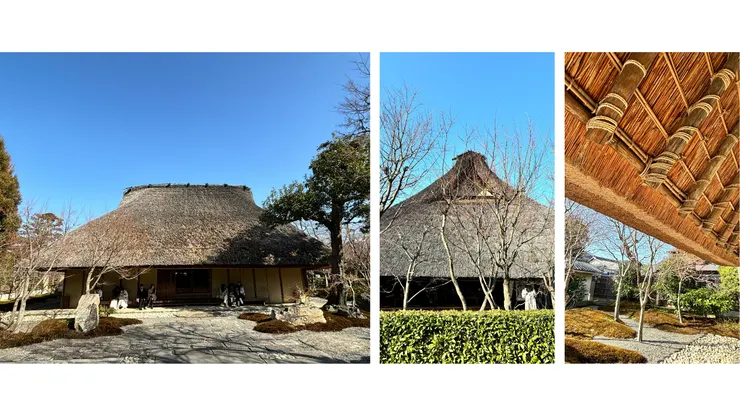 第一次親眼見到茅葺屋的震撼是：「好厚、好巨大！」