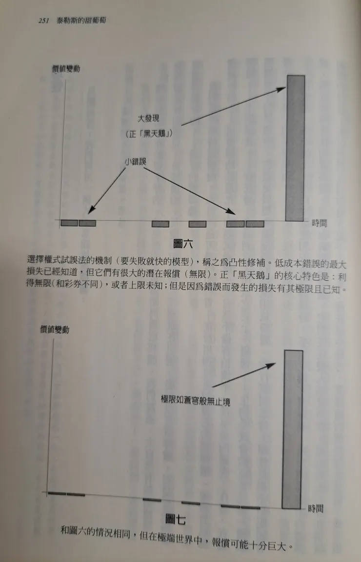 有限損失但很大潛在報酬,稱凸性修補