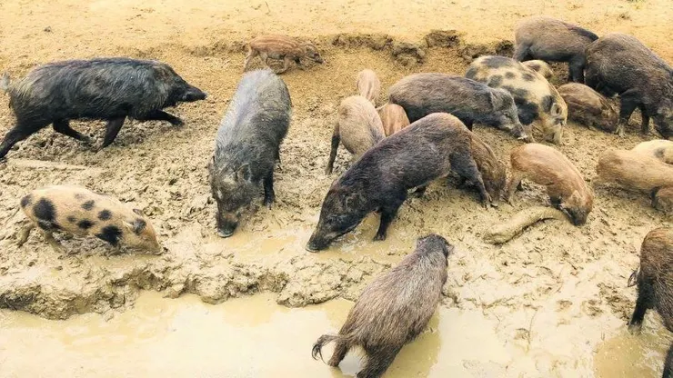 呃,示意圖,「方格子」的最大尺度