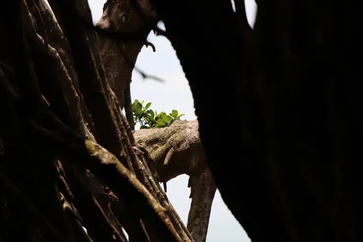 妳會喜歡嗎? 圖:親手拍攝