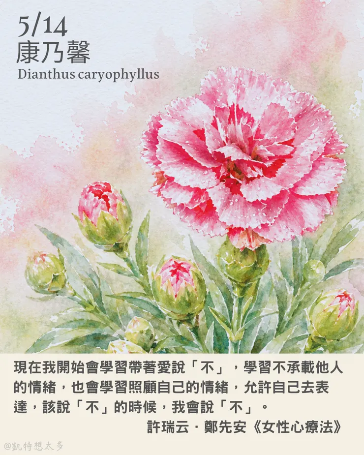 康乃馨×《女性心療法》