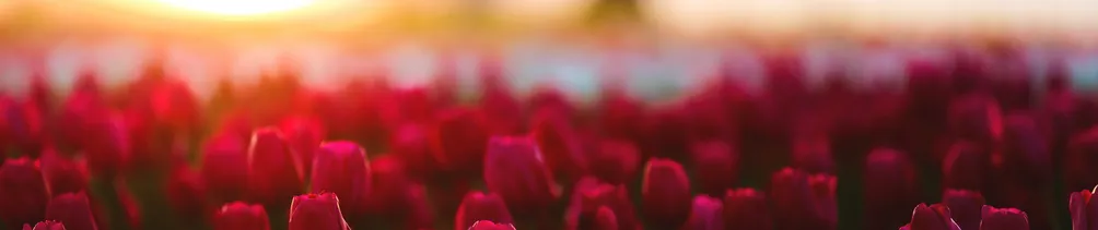 Luis財經沙龍-鬆鬆の財經筆記