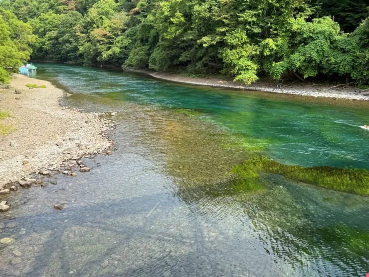一側美麗乾淨的溪流