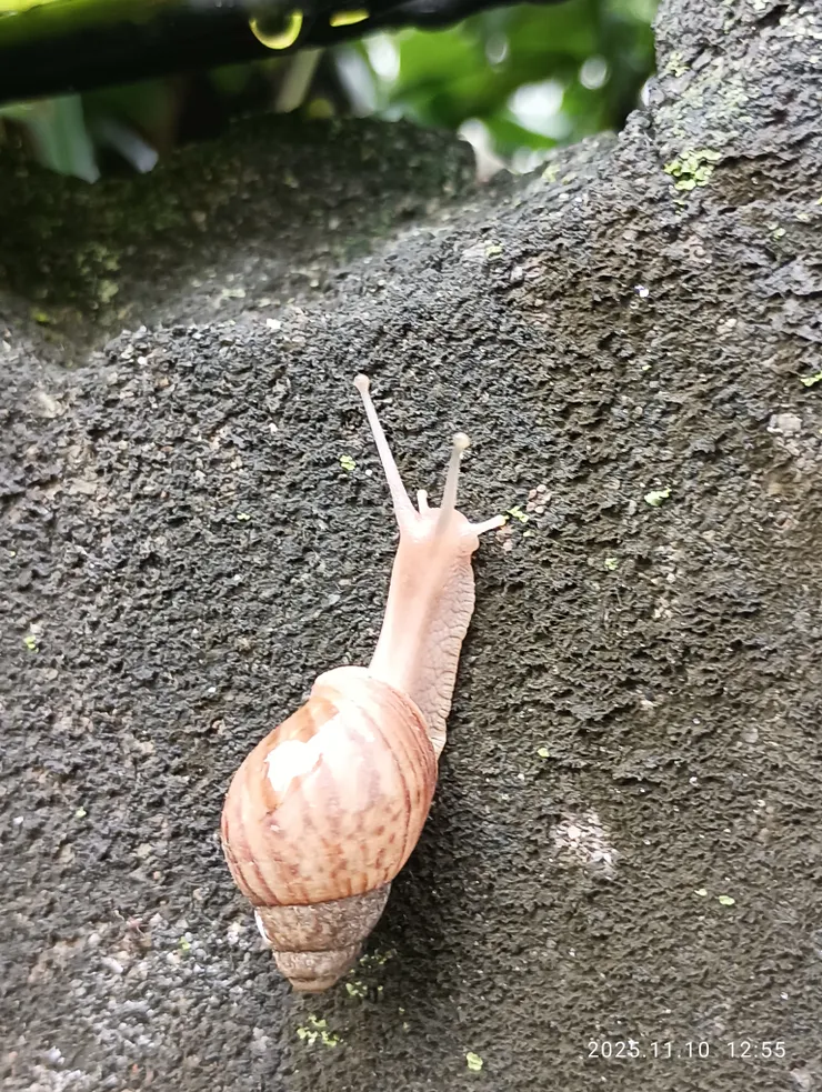 來所從來去從去，蝸牛角上爭何事！自拍攝