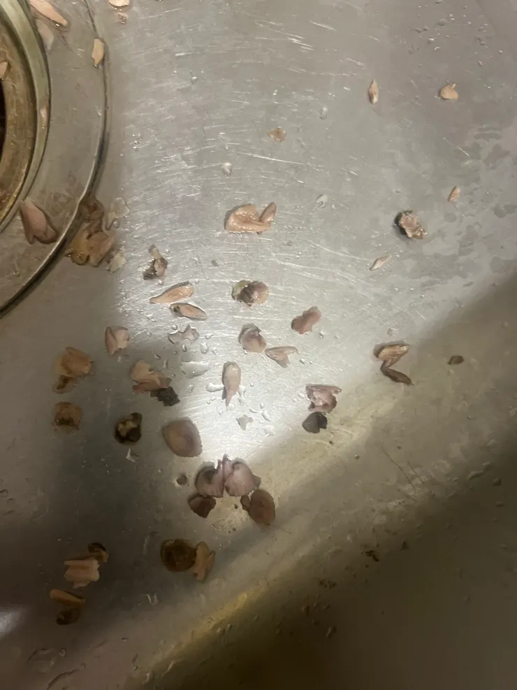 不知不覺剪了這麼多