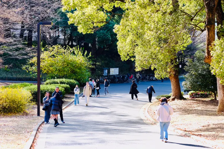 代代木公園即景2