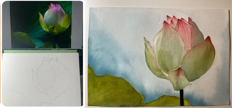 圖 YHCC＠水彩練習, FEB2023, W27 夏荷  26x18 cm感謝 水彩繪圖參考攝影照片來源 W27