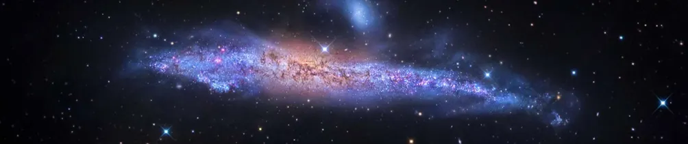 回到愛中365的沙龍