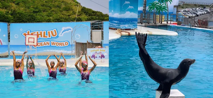 取自：野柳海洋世界