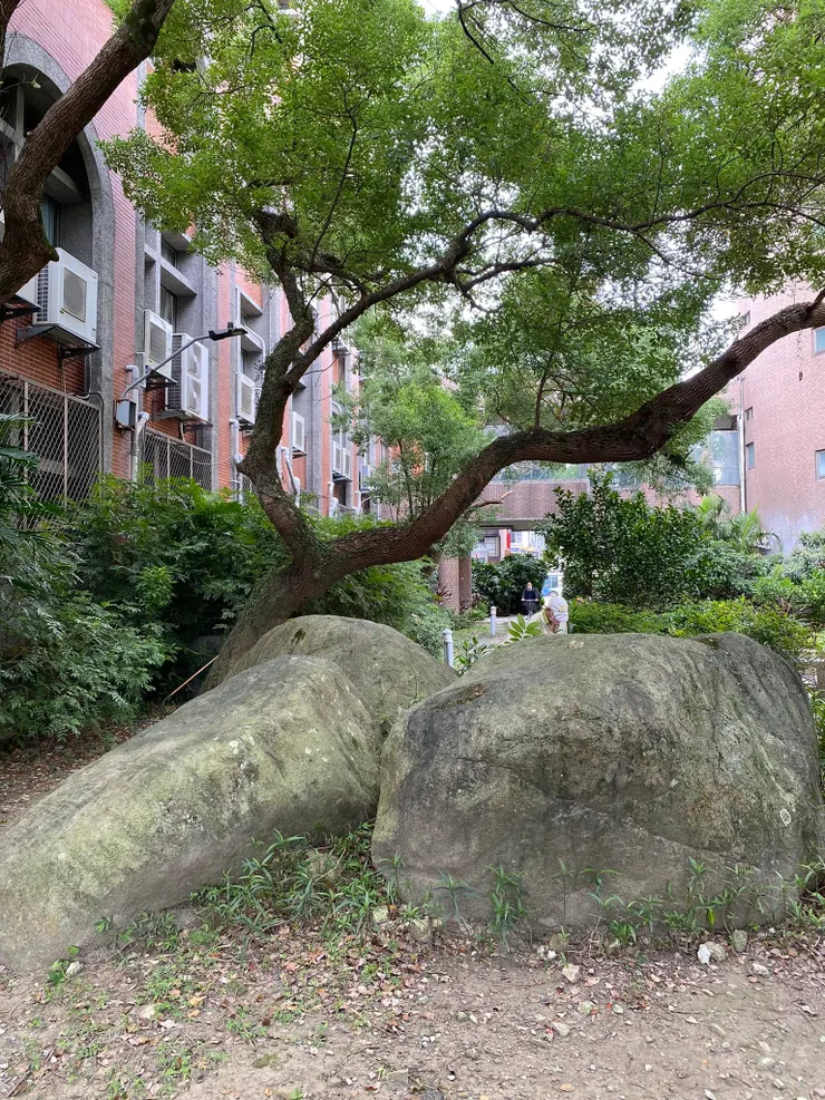 龜山在剷平時,留下2塊凝灰岩石塊於原地做紀念