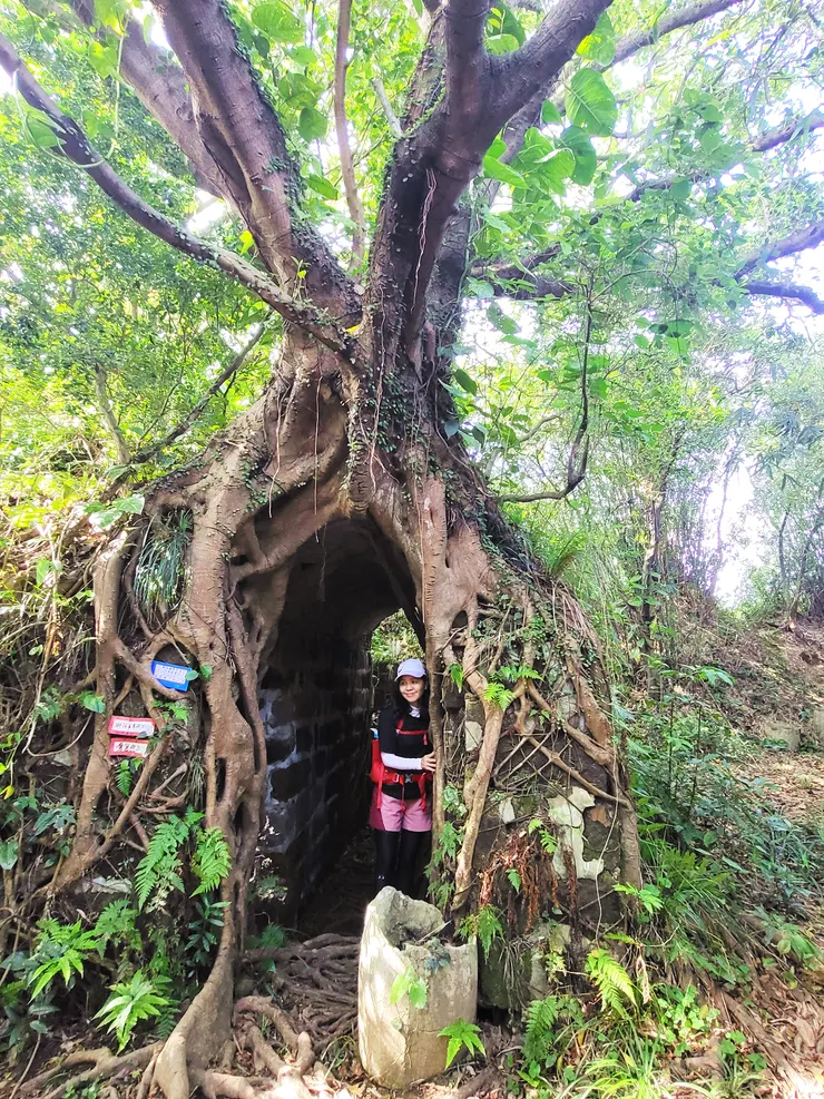 ▲鷹巢砲台（東砲台）