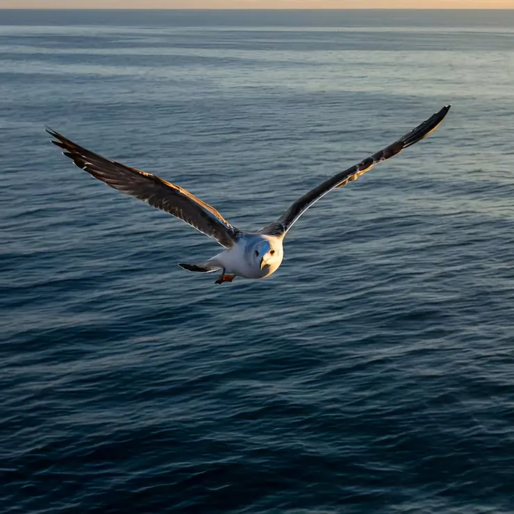 以Gemini軟件生成