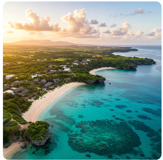 沖繩不開車自由行