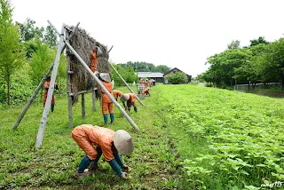 二見岡農場前，囚犯們耕作的模擬