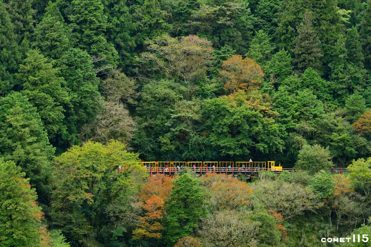 蹦蹦車在半山腰的森林間若隱若現
