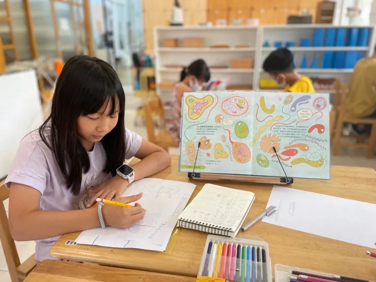 從壓力中解脫：一位家長的真實心聲，見證孩子在蒙特梭利教育中找回自信與學習的快樂成長之旅 上華蒙特梭利實驗小學