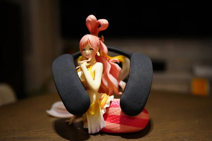 請出手邊最大尊的白星公主來展示一下