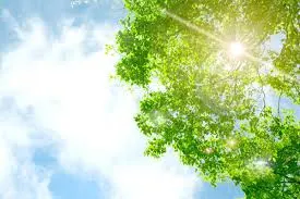 擁有健康的思維，才有希望和能量