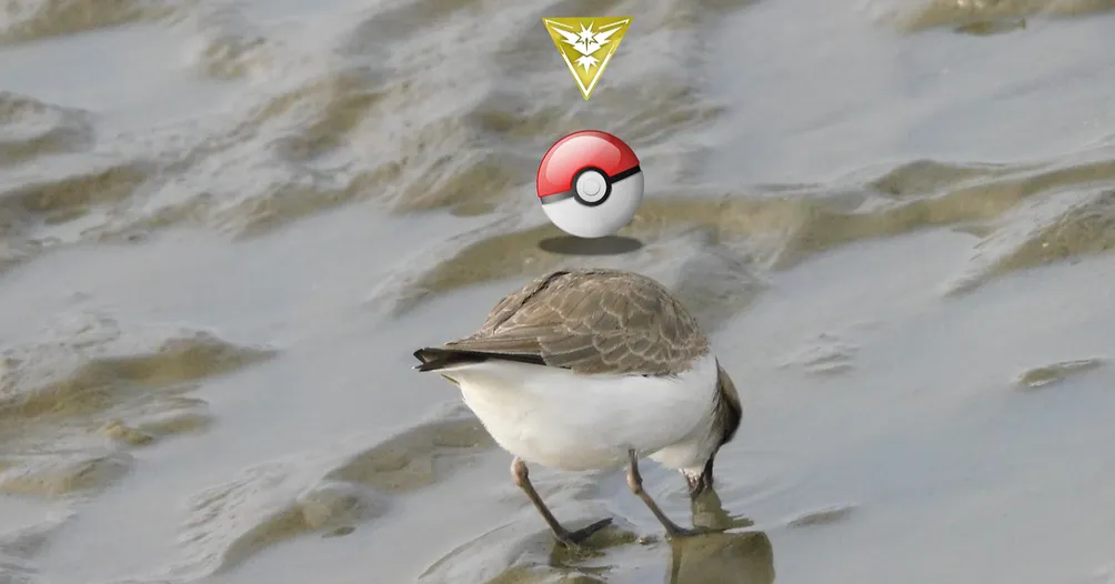 生活追跡者阿然的沙龍