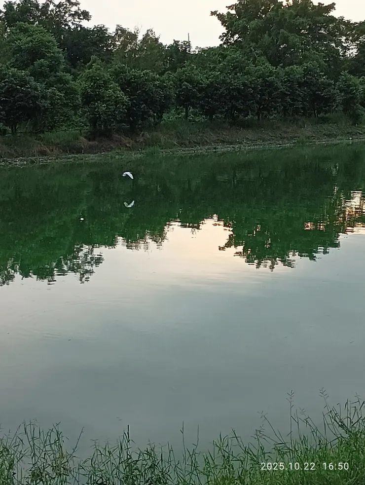 一水柔藍一介求