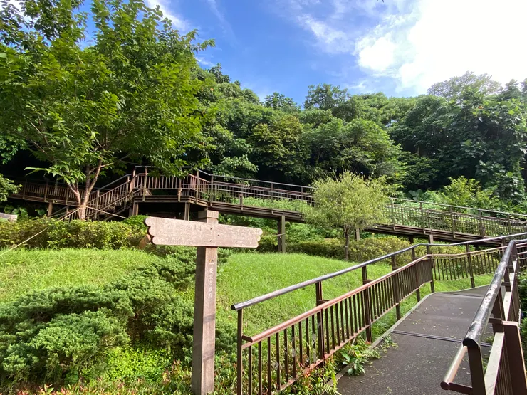 小觀音山木棧道出口